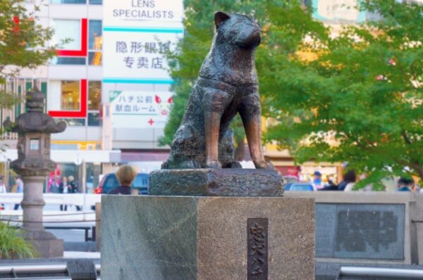 ハチふるSHIBUYAmeetsAKITA：忠犬ハチ公のふるさと秋田県のオンラインショップ♪